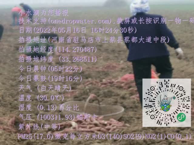 0.mp4