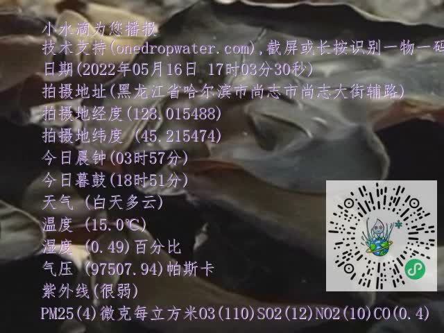 0.mp4