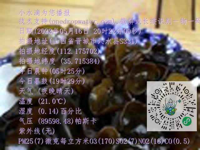 0.mp4