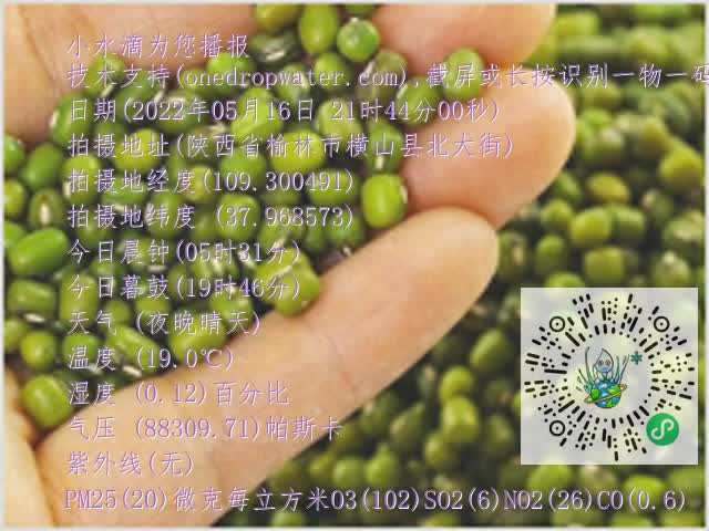 0.mp4