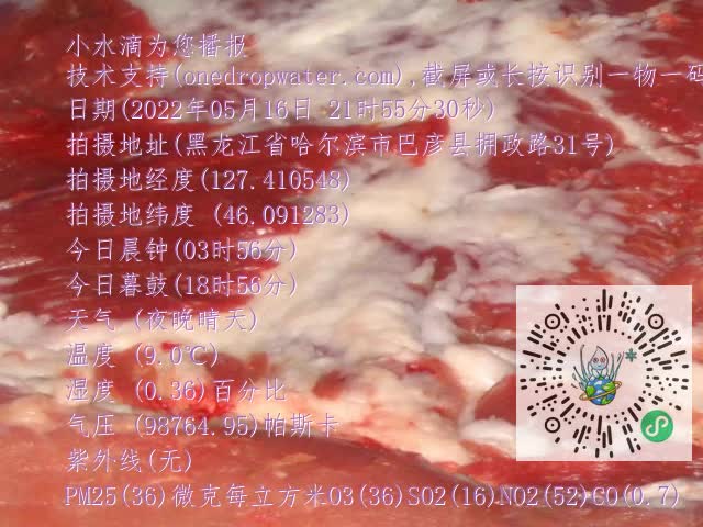0.mp4