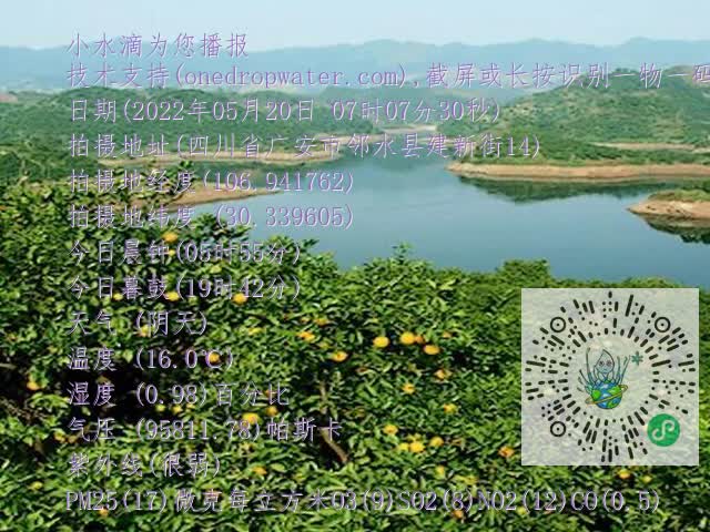 710dd9a2bbdcc7f599e8cf216ccee0a4.mp4