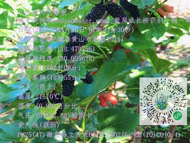 18053b670e2cd33b08f50659850fbd57.mp4