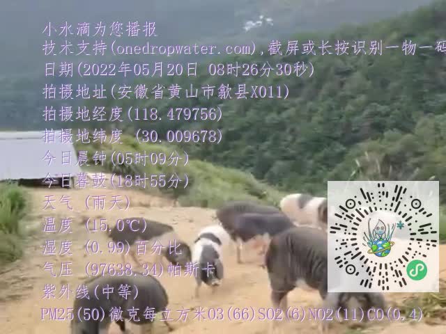 7756d8ddc8a2b12d0eee5752912e28e7.mp4