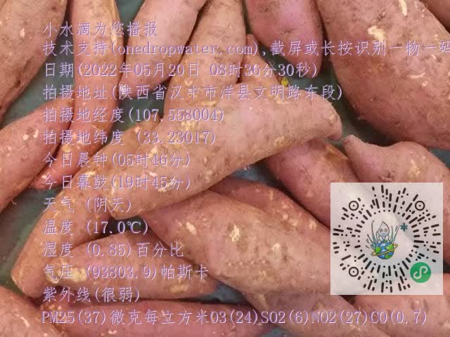 0.mp4