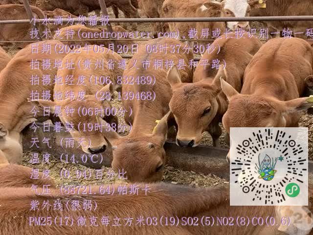 0.mp4