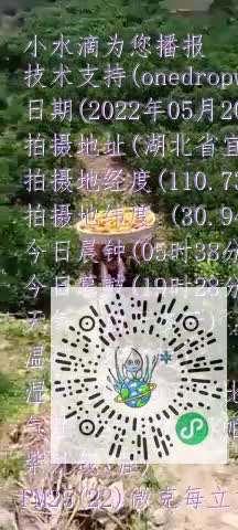 FtDABUQjQm1vyOCHjptWMf1HHe47mp4
