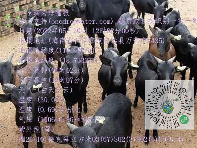 0df6b02a845ca5a6ab241ea637f45922.mp4