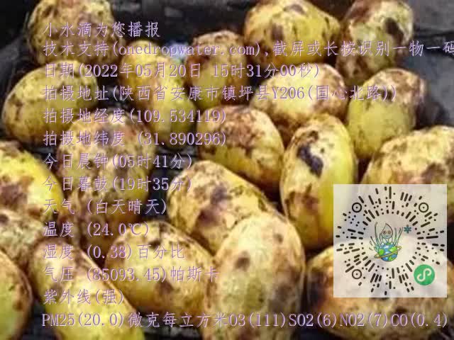 0.mp4