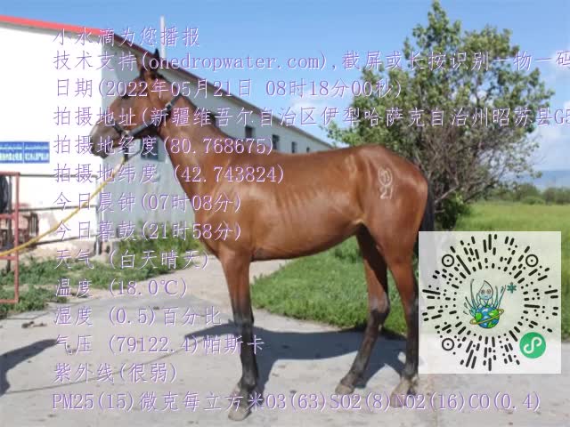 0.mp4