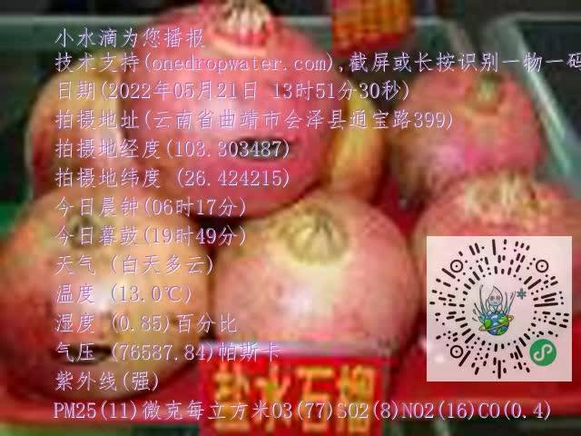 0.mp4