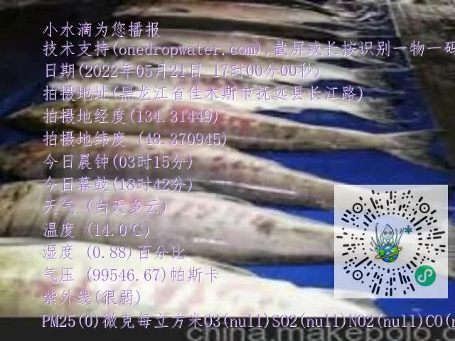 0.mp4