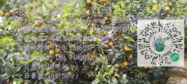 llmFudu6BVHEjqTkYnu03VtlGXXKmp4