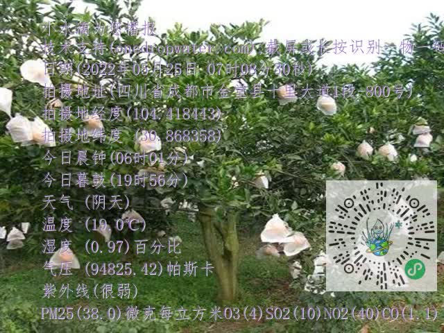 cbf8153904b560875ce45f0c0f7c89b0.mp4