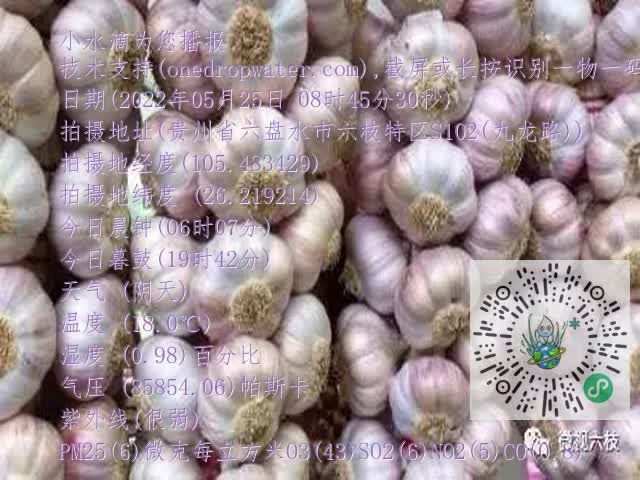 0.mp4