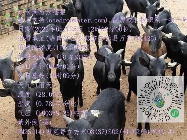 0df6b02a845ca5a6ab241ea637f45922.mp4