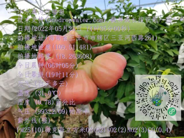 ea70551735311309afd40c2ff90052d2.mp4