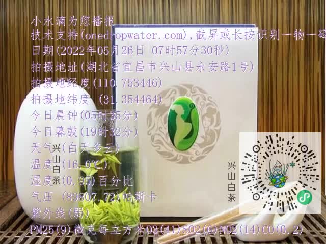 0.mp4