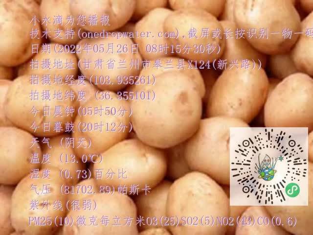 0.mp4