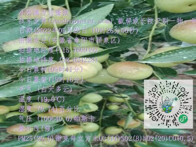 0.mp4