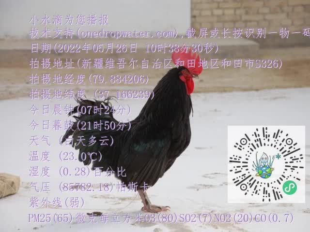 0.mp4