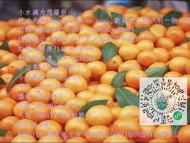 0.mp4