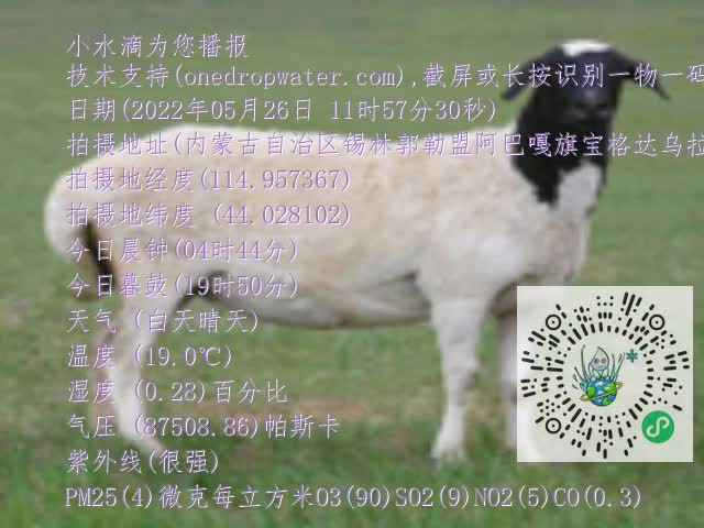 0.mp4