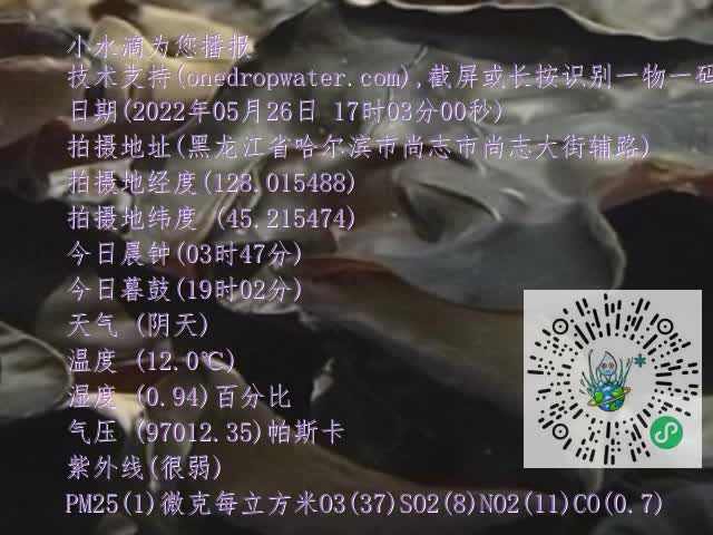 0.mp4