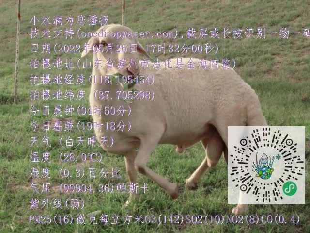 0.mp4