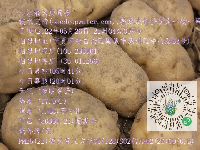0.mp4