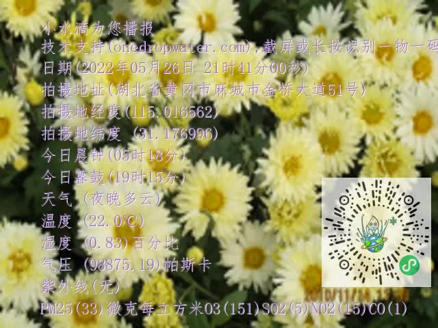 0.mp4