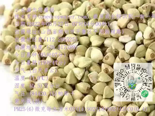 0.mp4