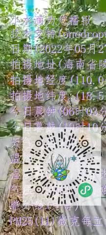 FhYhLYvW2tJpRiwuCBNx8EyWwt9Kmp4