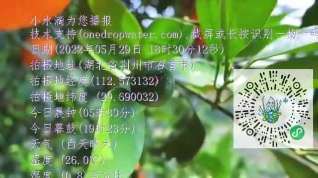 Fj1V6WU3KMscwbAZZUp1gLroF9S8mp4