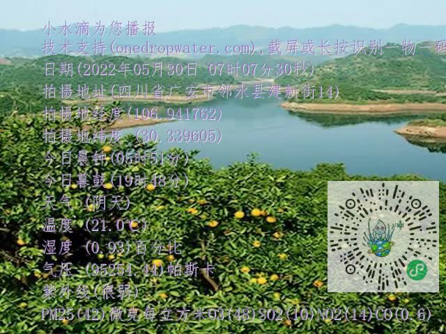 710dd9a2bbdcc7f599e8cf216ccee0a4.mp4