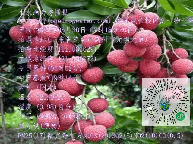 fa89a57207479821c701b64d8ff32aa6.mp4