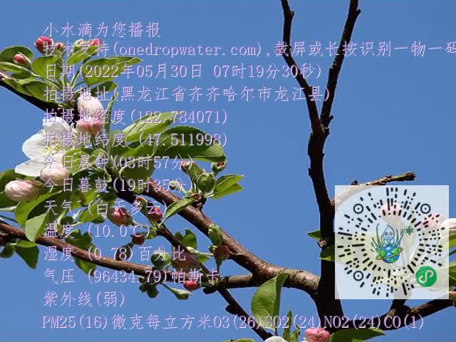 d77827fd2f4aa417a715d1dc90323eb3.mp4