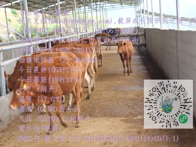0.mp4