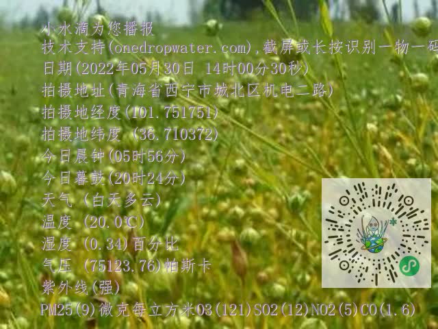 0.mp4