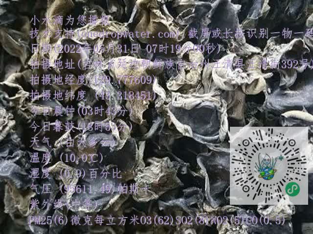 0.mp4