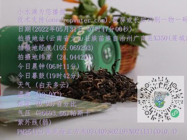 0.mp4