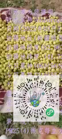 Fl8ayG4MGPnlI-KonihuoObSSvPmmp4