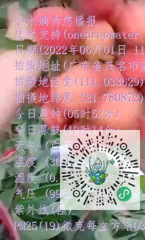 FiCg3oe7yQBFFv8ai4daUVOGaapxmp4