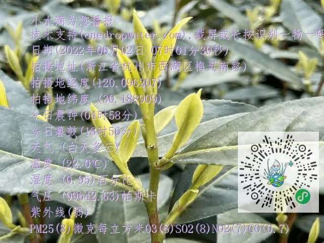bcb53627134d4c6267f5e8555c504d40.mp4