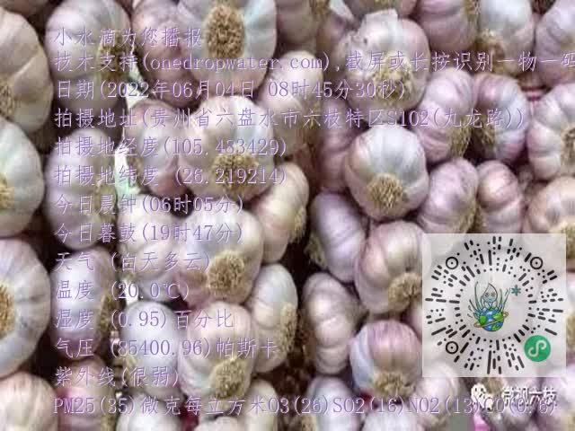 0.mp4