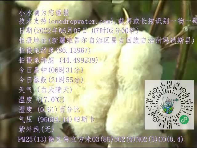 0.mp4
