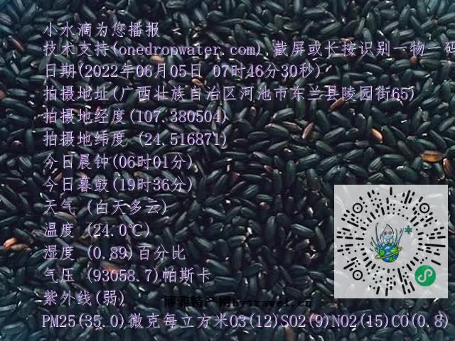 0.mp4