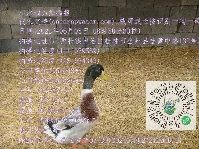 0.mp4