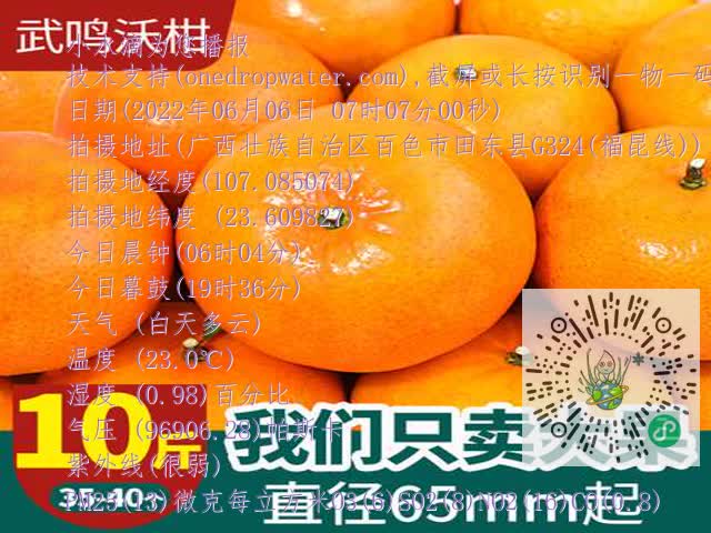 e8ac2f86629b315922c7e03277189119.mp4