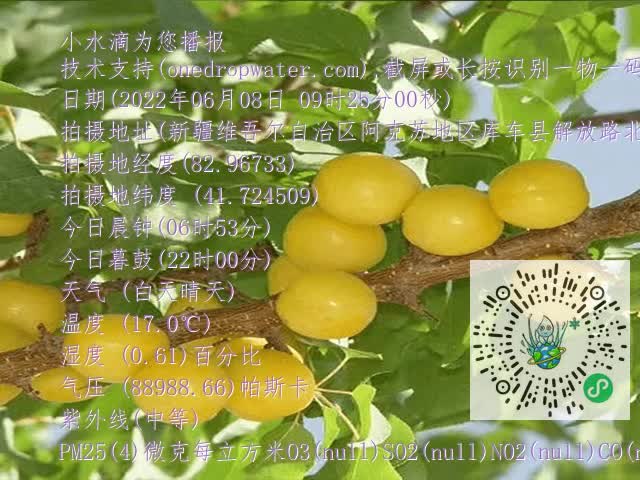 67804975fc4d755441263197e25d19dd.mp4